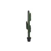 KUNSTPFLANZE - 26 cm x 20 cm - Plastik - Grün - GUADA - Grün, Kunststoff (145cm) - Vente-Unique