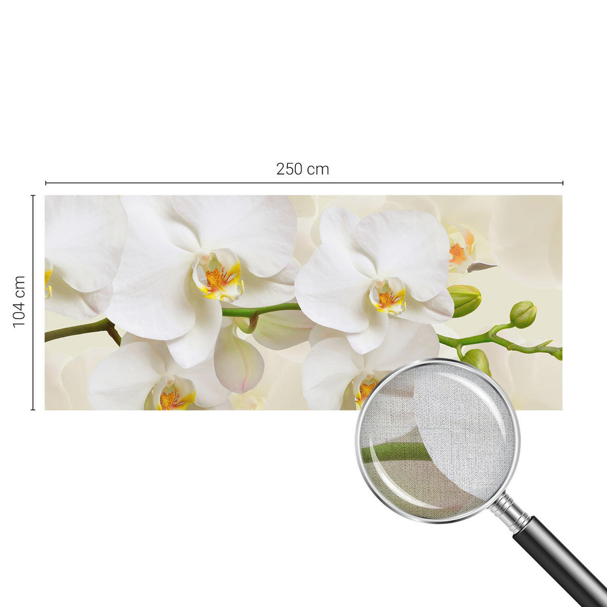 FOTOTAPETE 250x104 cm - Blütenreichtum - Schwarz, Textil (250/104cm) - Wallfluent