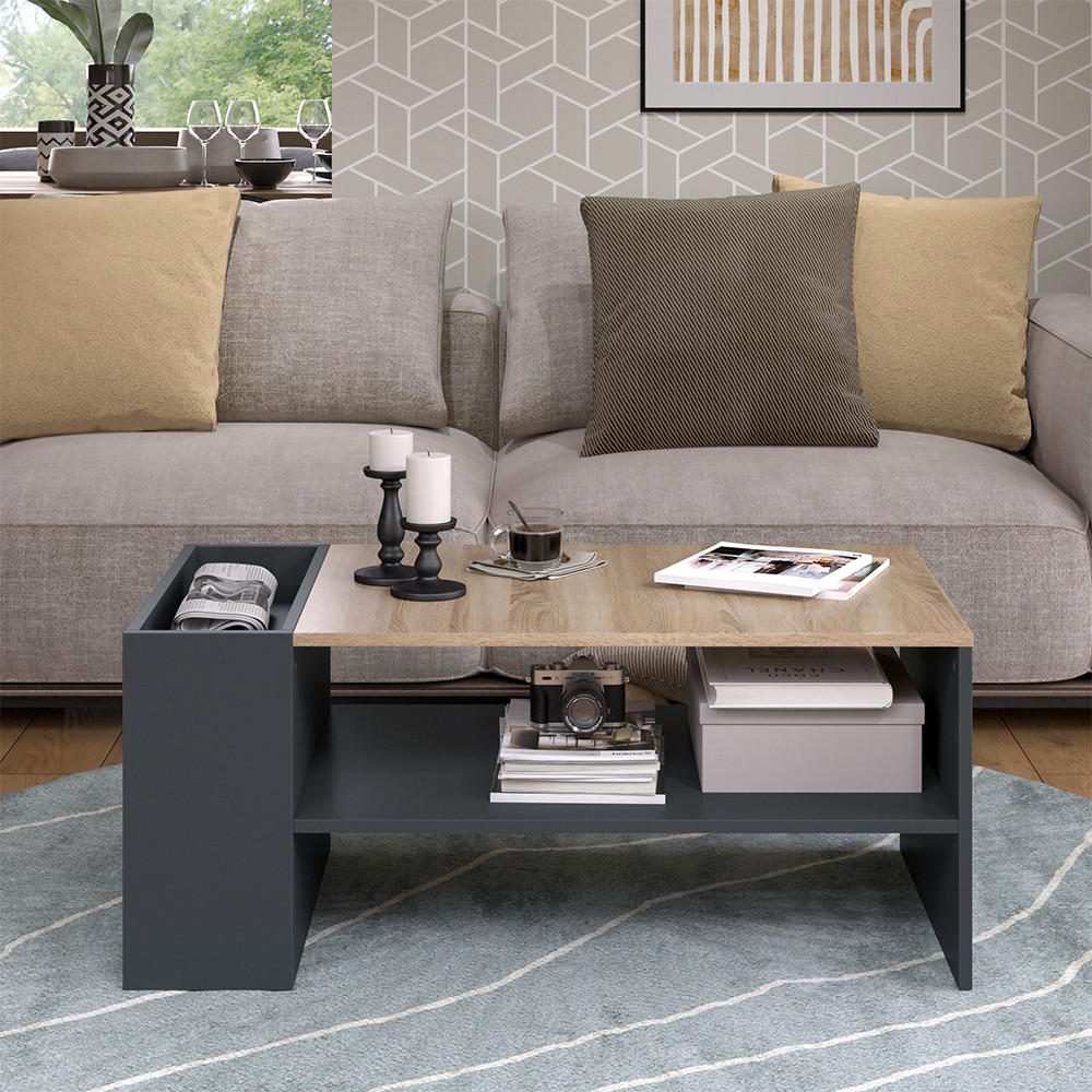 COUCHTISCH Wido Anthrazit/Sonoma 100 x 55 cm mit Regalen - Anthrazit, Holzwerkstoff (55/100/42cm) - Vicco