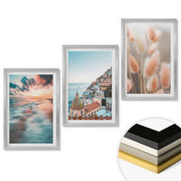 WANDBILDER 3er Set - 40x60 cm Silberner Rahmen - Sonnenuntergang am Meer, Häuser, Blumen - Silberfarben, Kunststoff (40/60cm) - ArtPrintCave