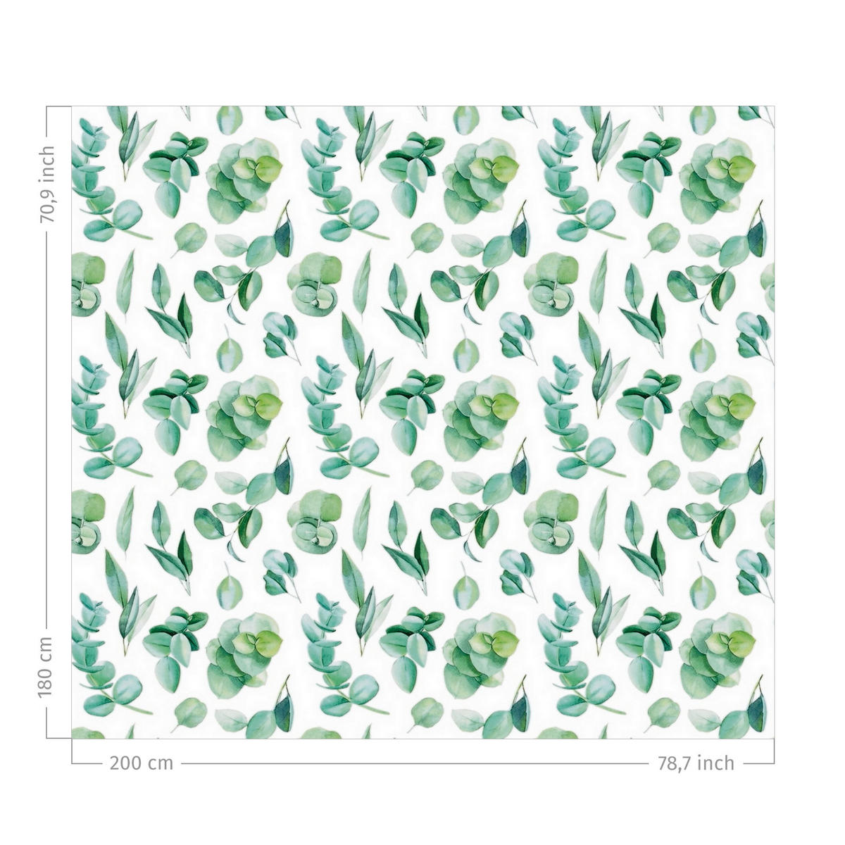 DUSCHVORHANG Aquarell Eukalyptuszweige und Blätter Muster 200/180 cm - Grün, Textil (200/180cm) - Bilderwelten