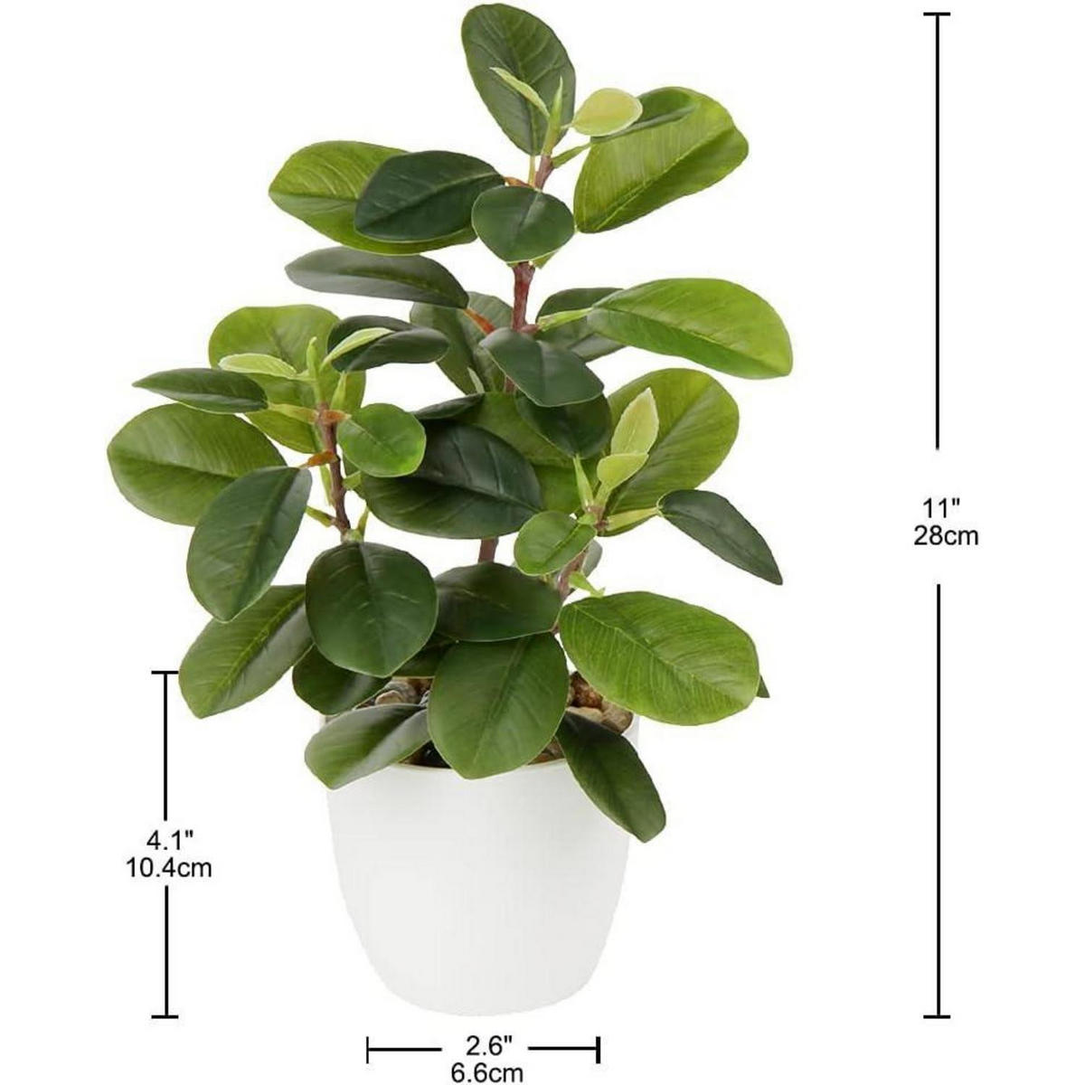 KÜNSTLICHE Zimmerpflanze Kamelie 28 cm - Grün, Kunststoff (27.9cm)