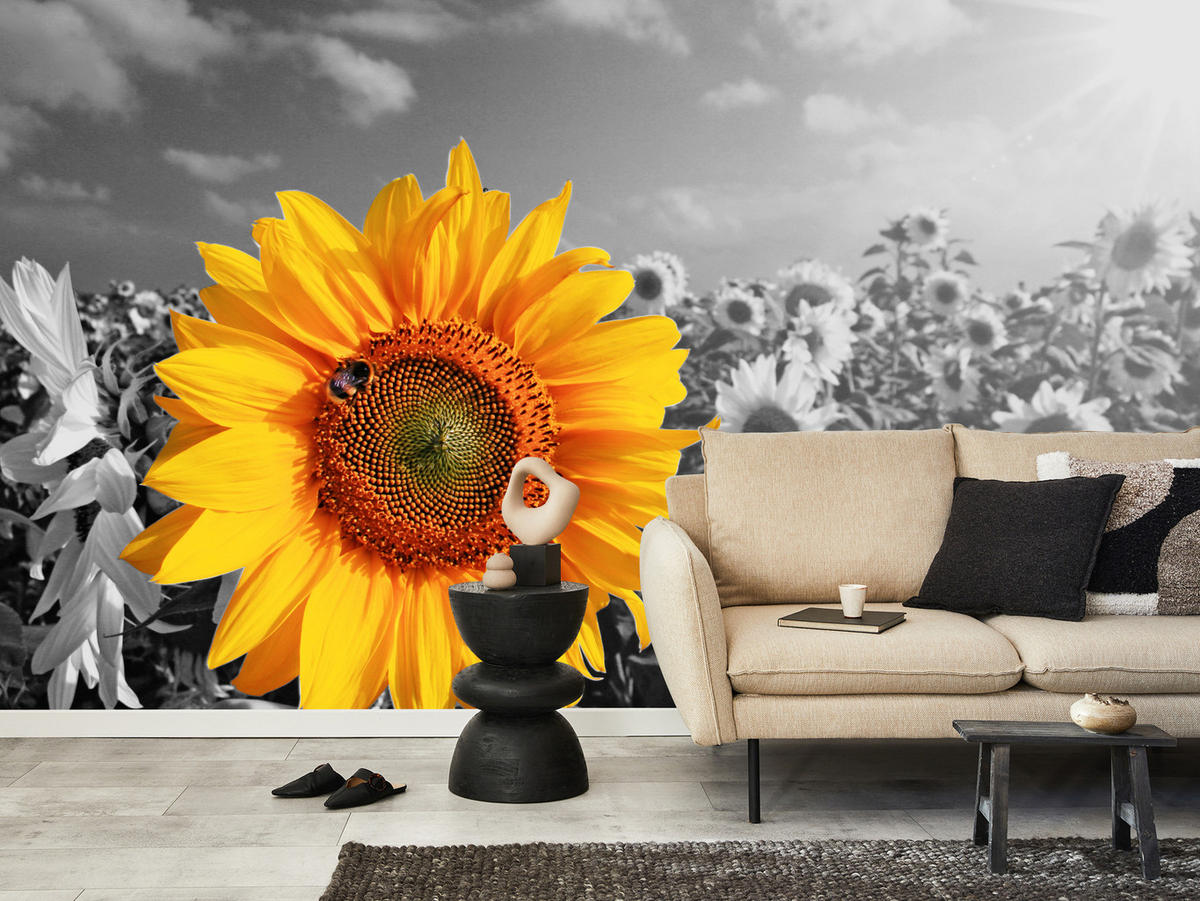 FOTOTAPETE für Küche Gelber Sonnenblume Schwarz-Weiß Hintergrund 400x280 - Gelb/Orange, Papier (400/280cm) - Muralo