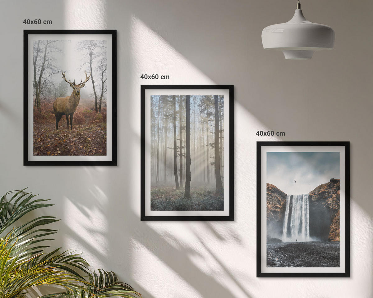 BILDER SET 3er Set - 40x60 cm Schwarzer Rahmen - Waldlandschaften, wilde Natur - Schwarz, Kunststoff (40/60cm) - TULUP