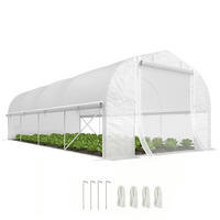 GEWÄCHSHAUS DE-05845 begehbar 600/300/200 cm Weiß - Weiß, Kunststoff/Metall (300/200/595cm) - ComfortXL