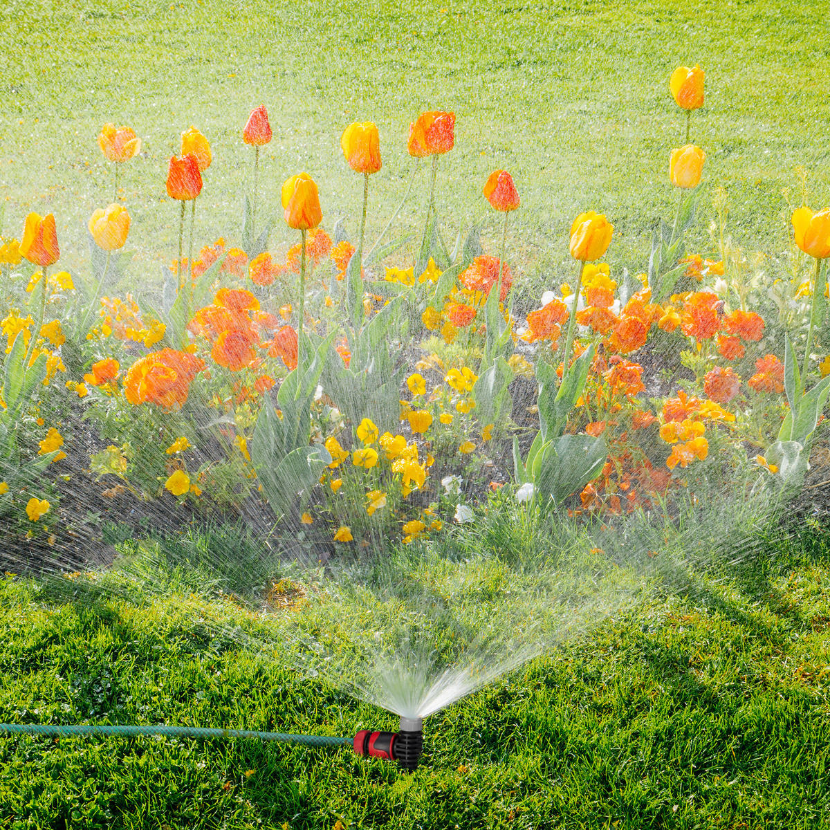 5XSPRÜHREGNER - Schwarz, Kunststoff (6/19/3cm) - Relaxdays