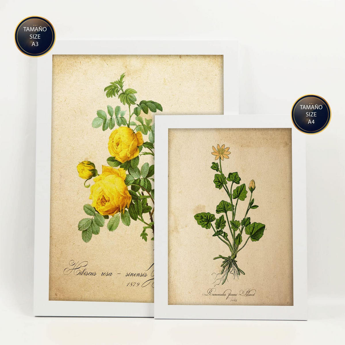 POSTER Set Mit 6 Botanisches Gelb Größe A3 & A4 Weißer Rahmen - Weiß, Papier (29.7/1cm) - Nacnic