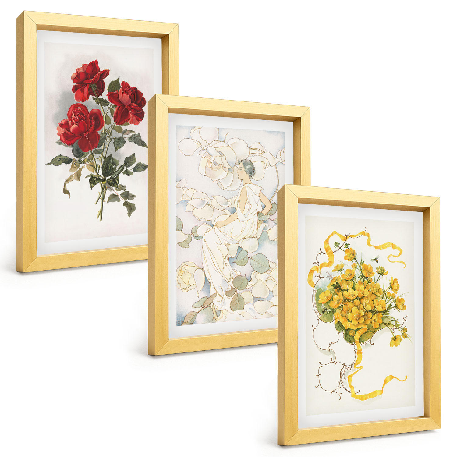 BILDER SET 3er Set - 20x30 cm Goldrahmen - Rosen rot-weiße Form - Goldfarben, Kunststoff (20/30cm) - TULUP