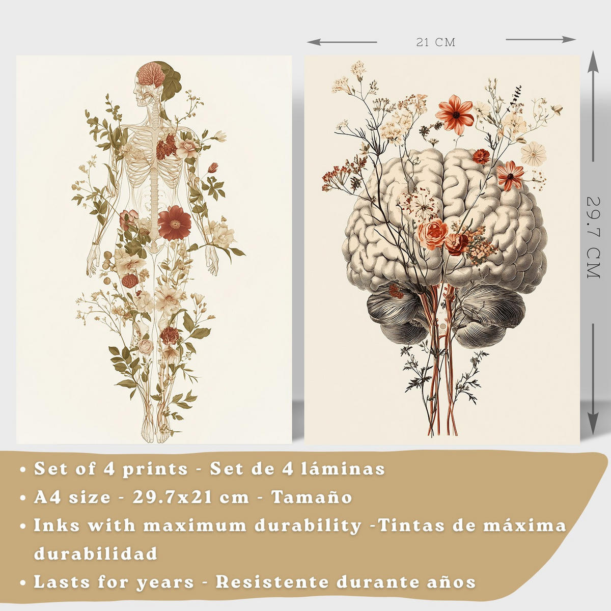 POSTER Set aus 4 Anatomie Mensch Dekorative Drucke und Wandbilder mit Blumen Ganzkörper Gehirn Hand und Herz Stil Wanddekoration Größe Rahmenlos A4 - Klar, Papier (21/29.7/3cm) - Nacnic