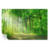 FOTOTAPETE 104x70 cm - Waldweg - Grün, Textil (104/70cm) - Wallfluent
