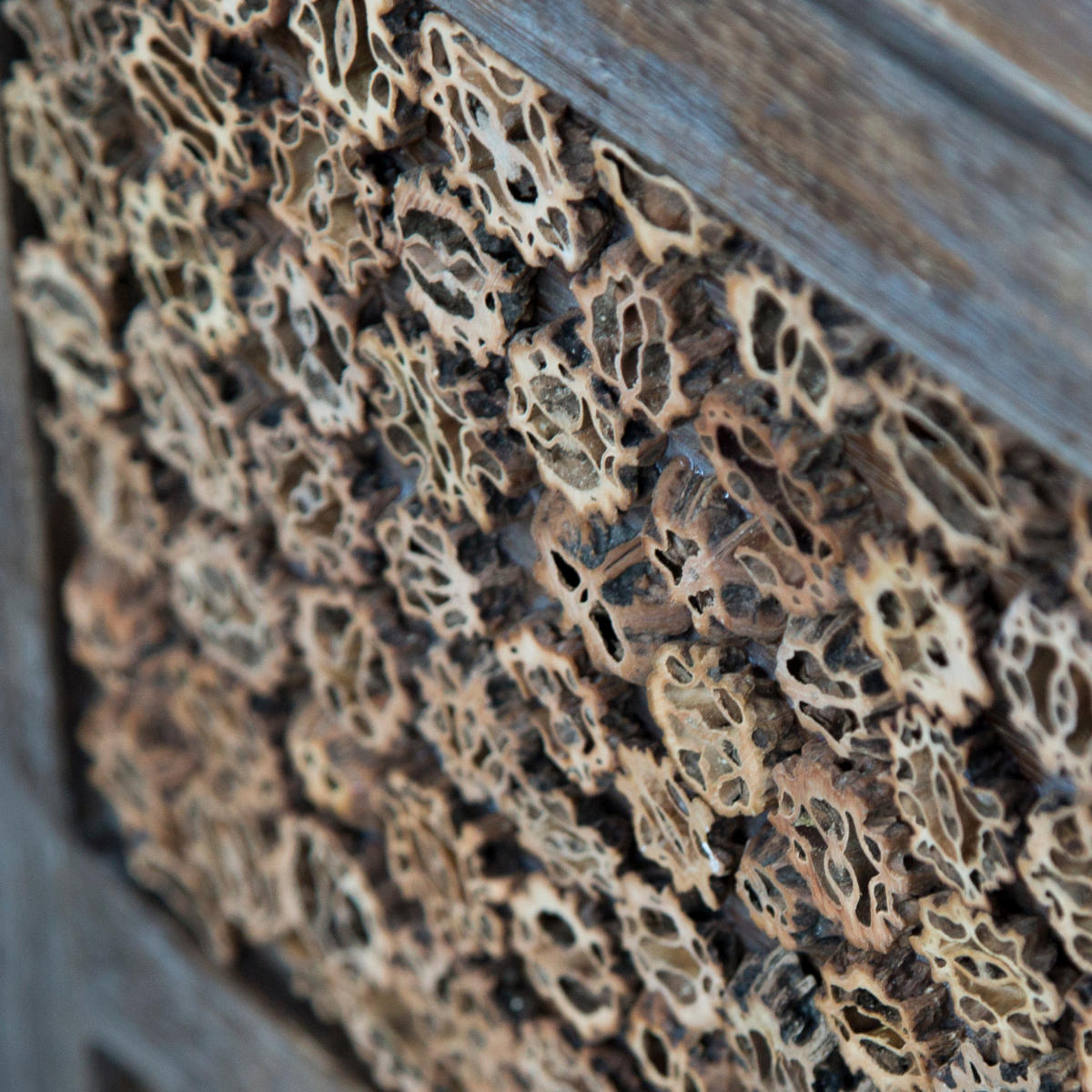 PARAVENT 3-tlg. 120/170 cm Braun Holzverzierung - Braun, Holz (120/170/2cm) - Homestyle4u