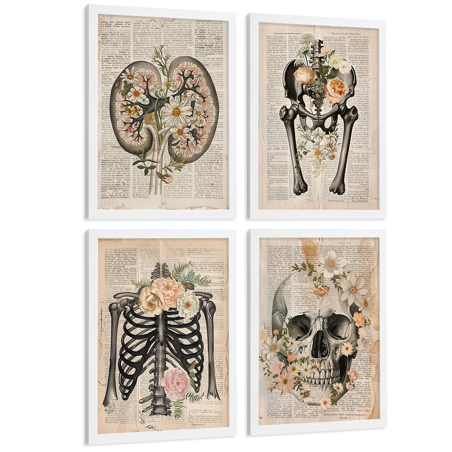 POSTER Set aus 4 Anatomie Drucke und Wandbilder mit Nieren Becken Knochen Hüfte Rippen Wirbelsäule Schädel Antiker Buch Stil Größe Weißer Rahmen A3 - Weiß, Papier (29.7/42/3cm) - Nacnic