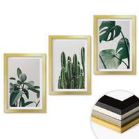 WANDBILDER 3er Set - 20x30 cm Goldrahmen - Tropische ästhetische Pflanzen - Goldfarben, Kunststoff (20/30cm) - ArtPrintCave