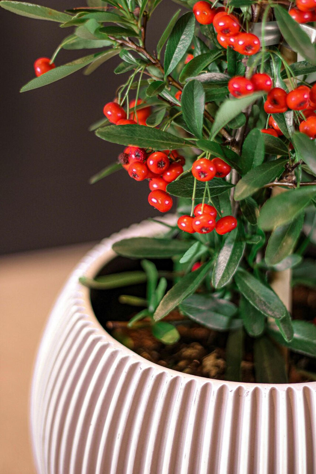 GEFÄSS Kugel Groove elfenbein I 18x15 cm - Creme, Kunststoff (1/1/1cm) - aplanta