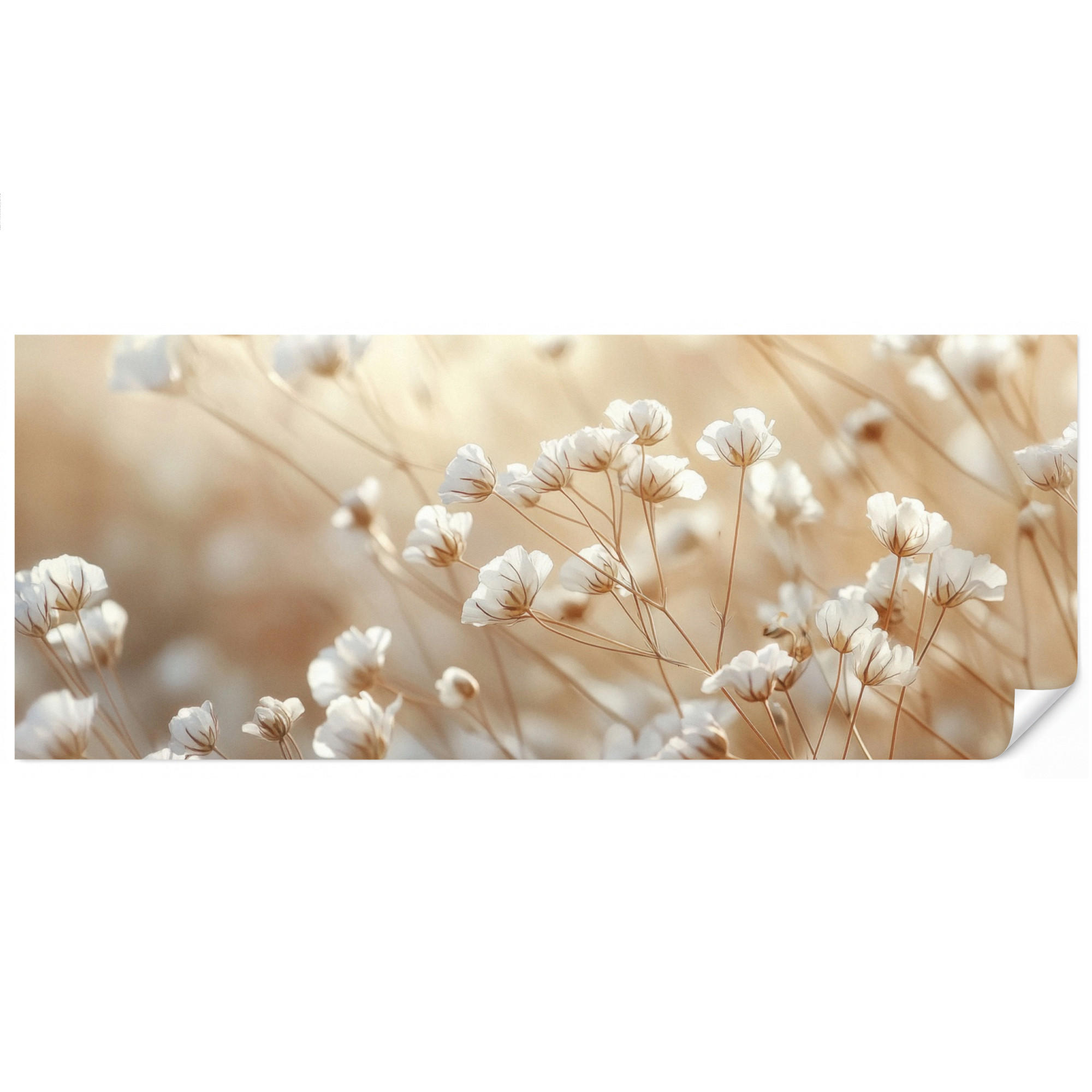 OnlyWow Tapete Creme 500x200 cm