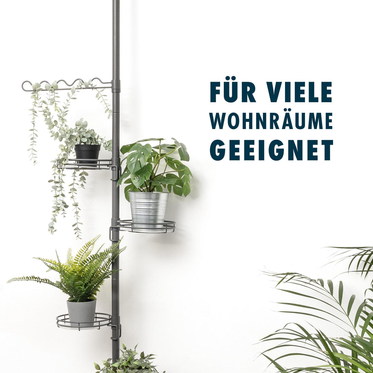 ZUSATZ-PFLANZENTELLER, grau - Grau, Metall (19/19/4.5cm) - bremermann