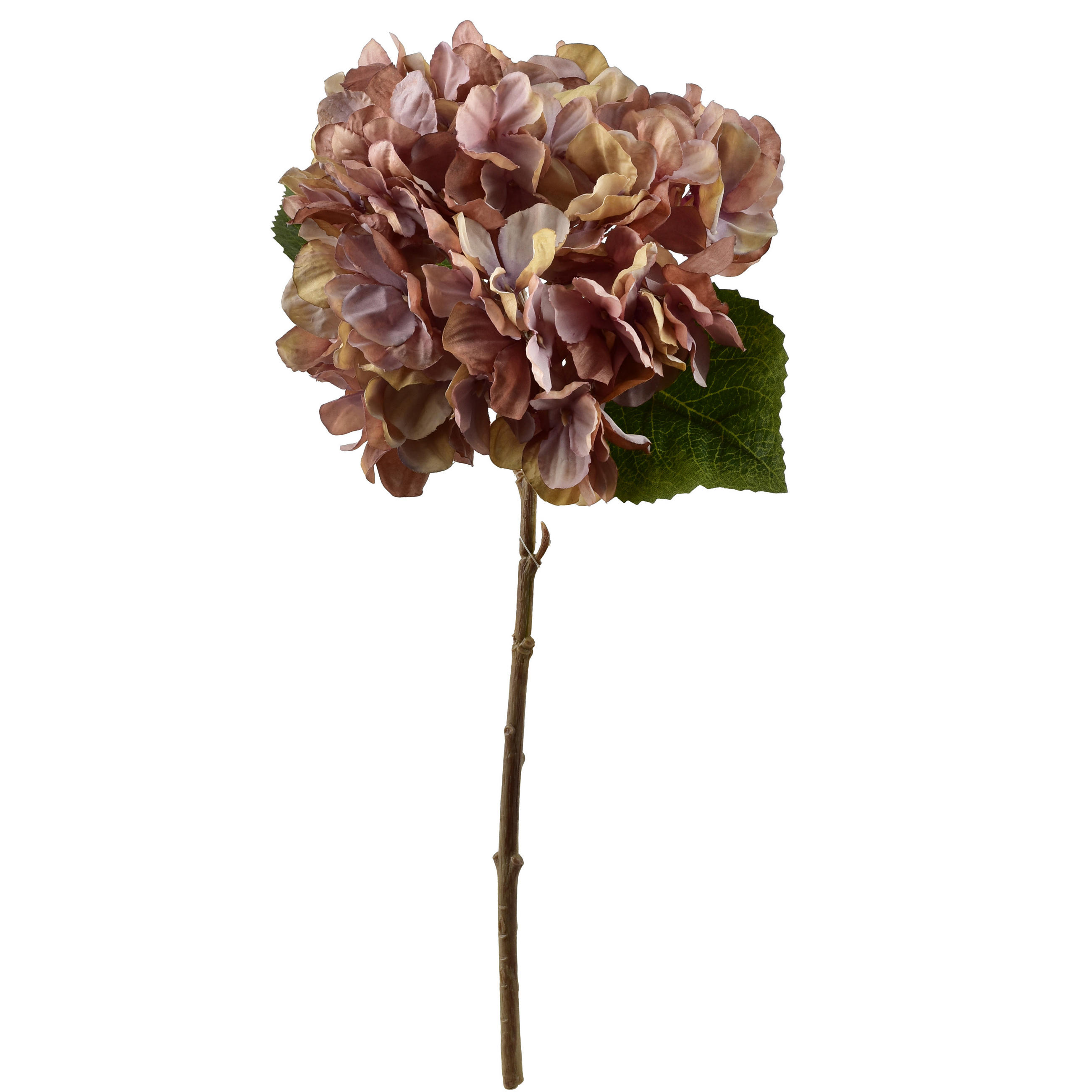 KUNSTBLUME Viridis Hortensie 35cm - Grün, Kunststoff (35cm) - Mondex