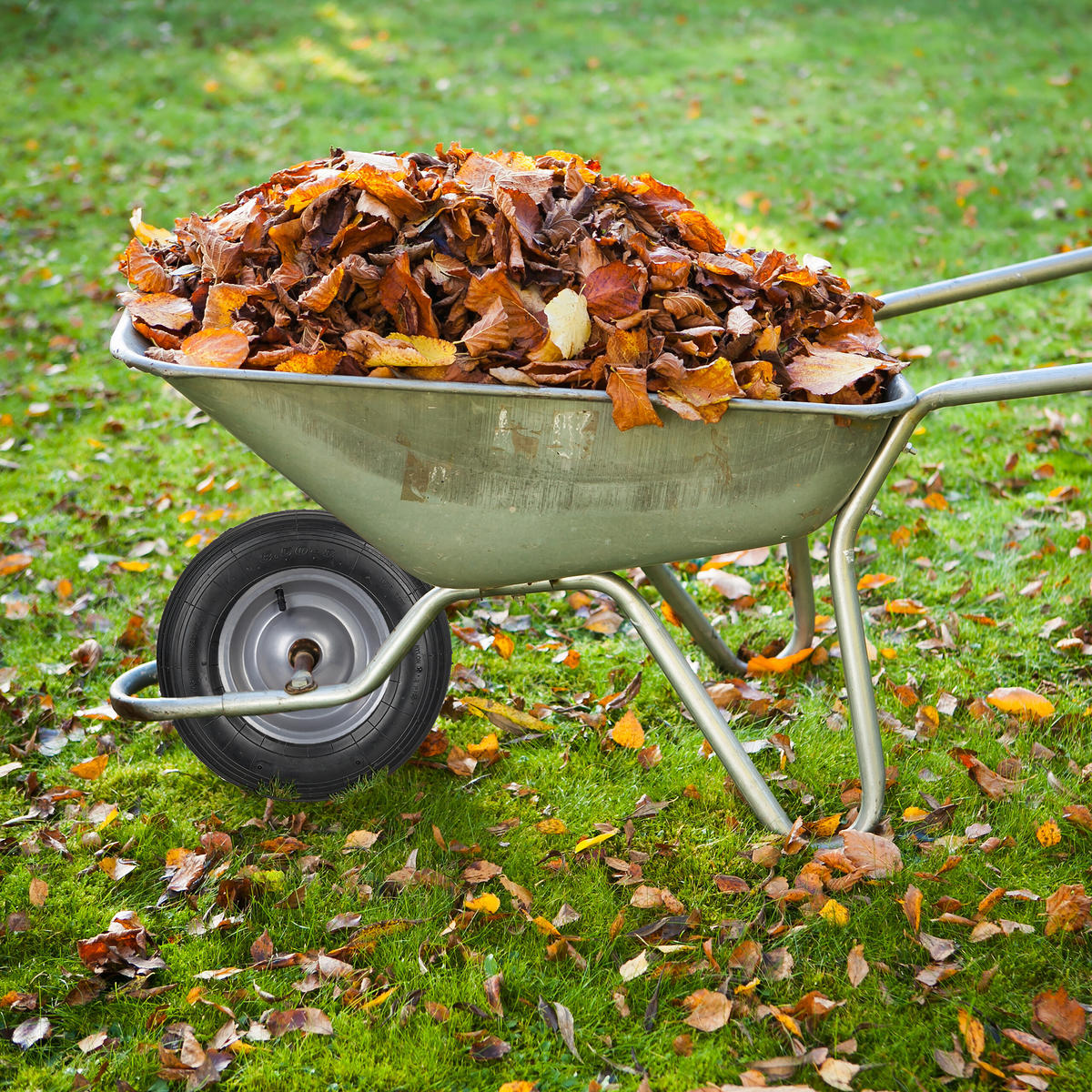 2xSCHUBKARRENRAD - Schwarz, Kunststoff (37/37/8.5cm) - Relaxdays