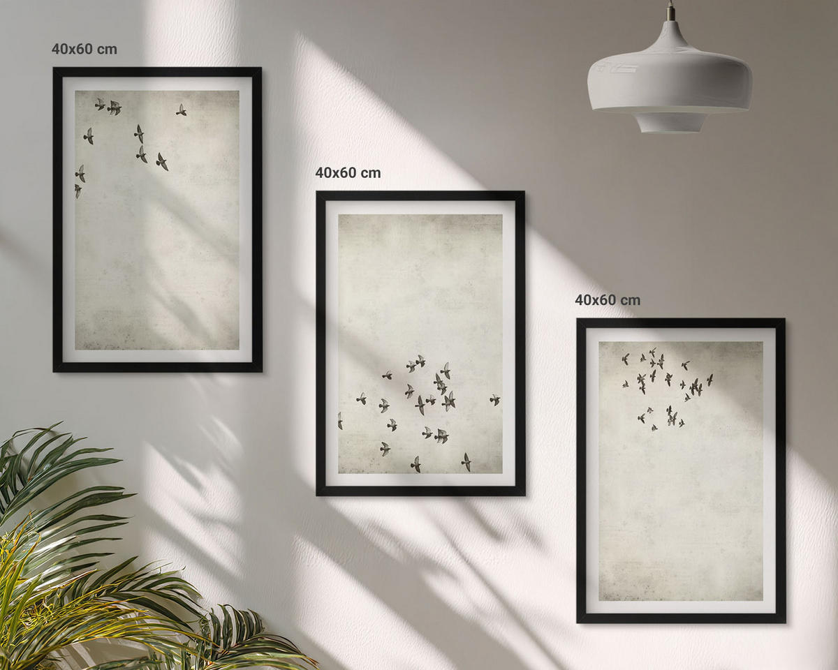 BILDER SET 3er Set - 40x60 cm Schwarzer Rahmen - Minimalistische Vogelmalerei - Schwarz, Kunststoff (40/60cm) - TULUP