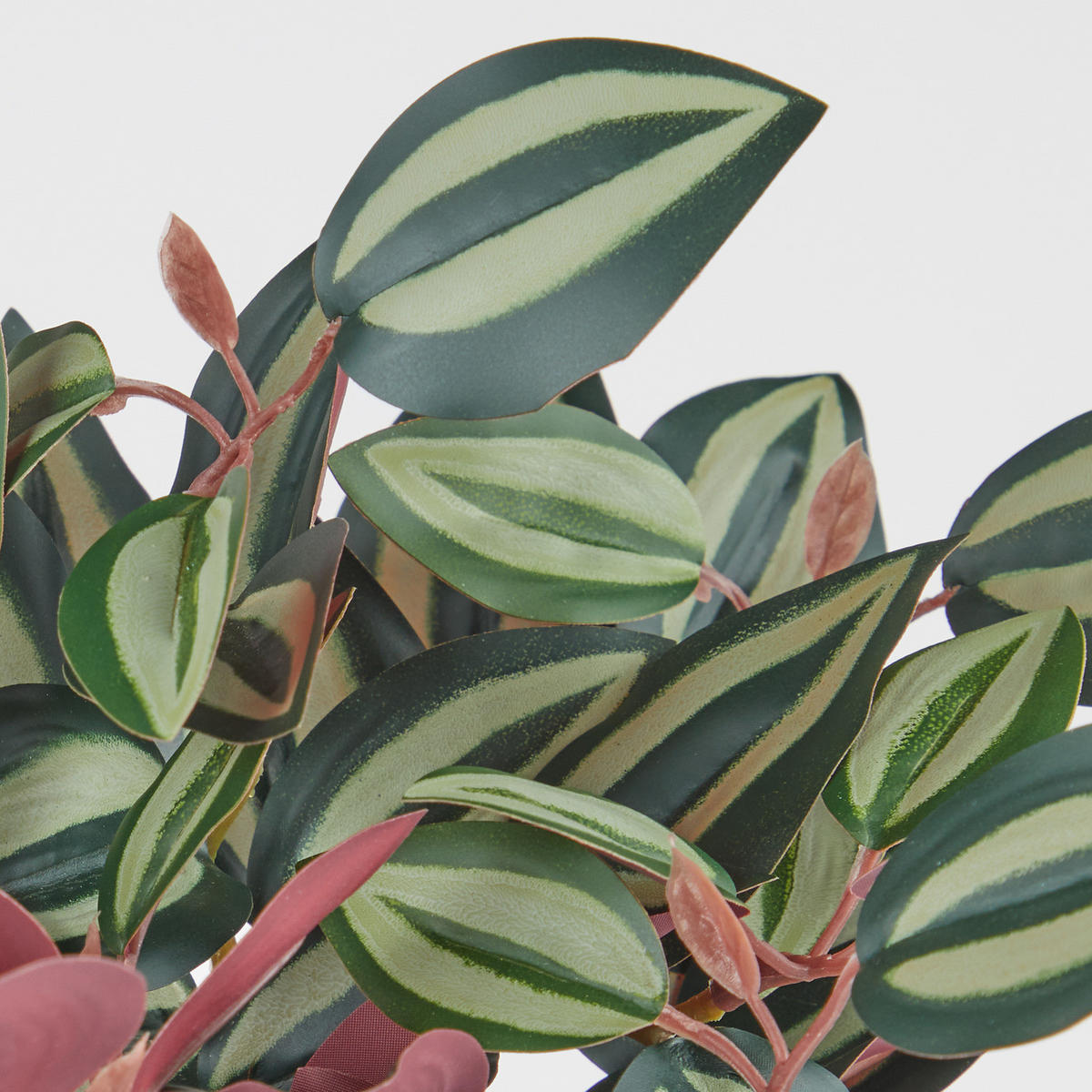 KUNSTBLUME Florista Peperomina argyreia - Grün, Kunststoff (44cm) - Butlers