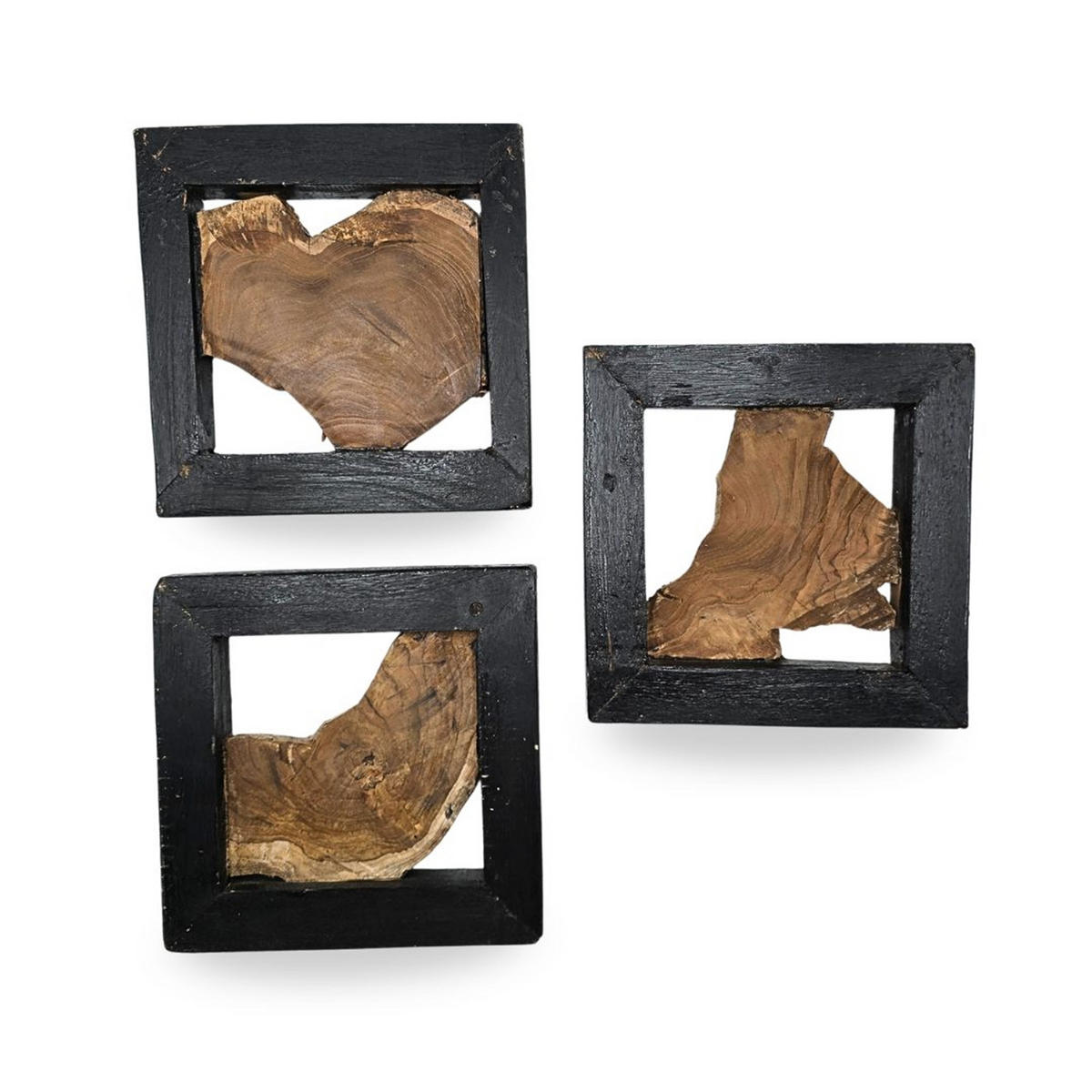 WANDDEKO Sprig 25x25 cm, Teak Wurzelholz massiv sdhwarz-braun - Naturfarben, Holz (25/25/4cm) - CREEDWOOD
