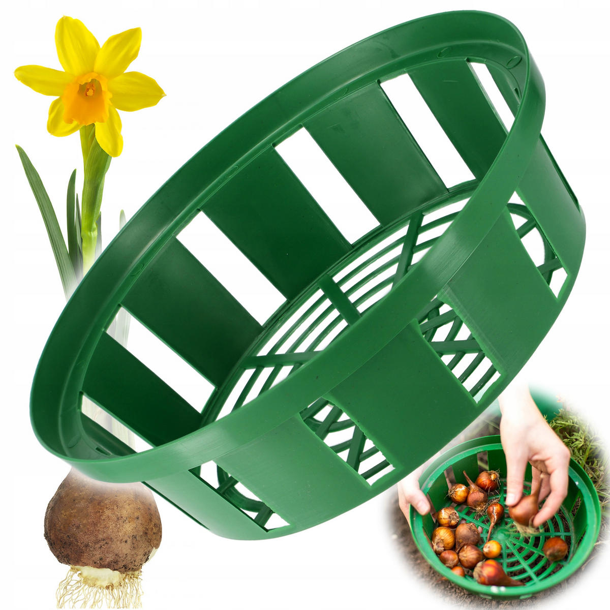 BLUMENZWIEBELKORB 23 cm, grün - Grün, Kunststoff - KADAX