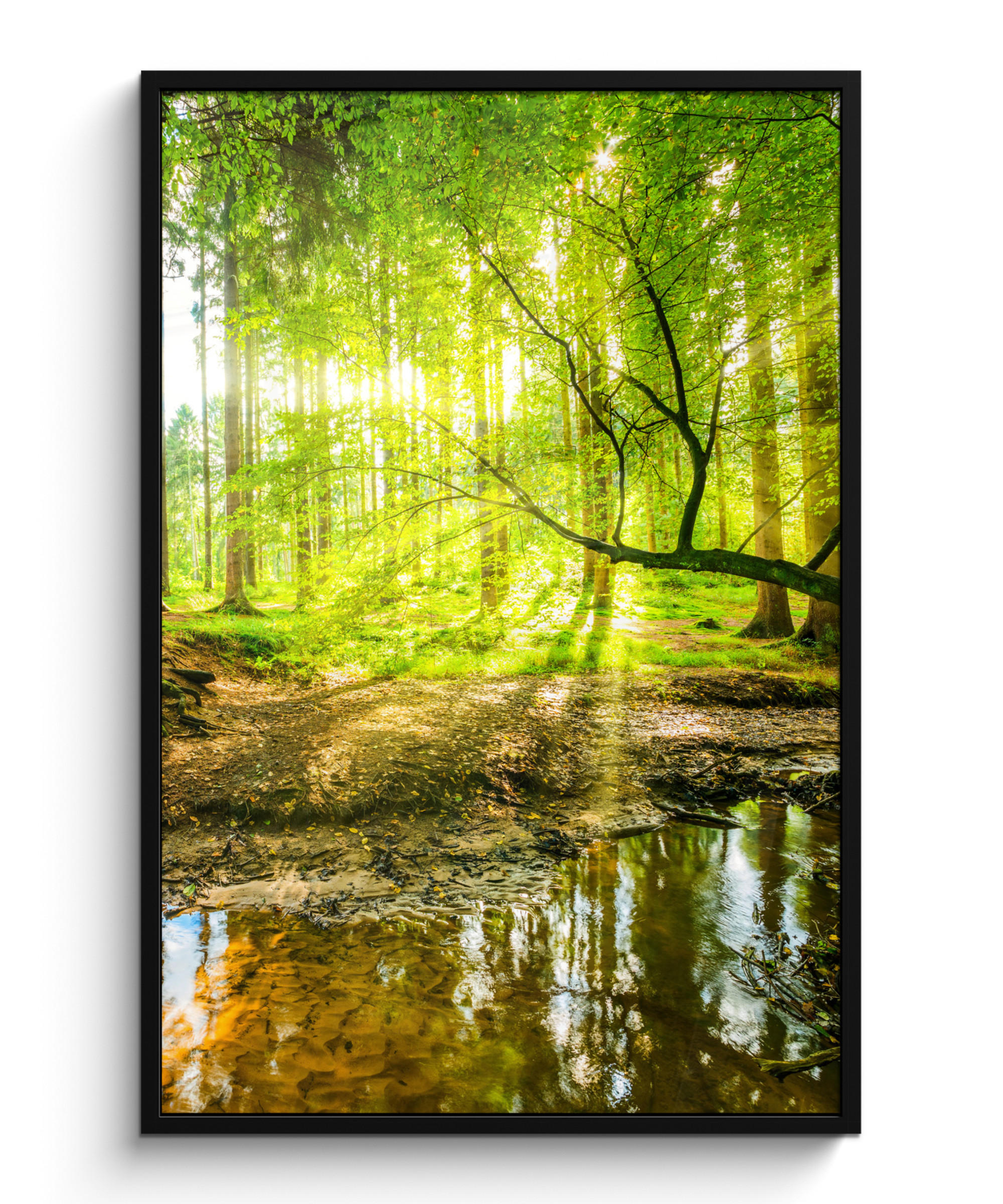 GERAHMTES BILD Wald - Landschaft - Wasser - Bäume - Sonne - Grün - Natur 80x120 cm - Grün, Papier (80/120cm) - MuchoWow