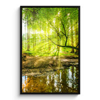 GERAHMTES BILD Wald - Landschaft - Wasser - Bäume - Sonne - Grün - Natur 80x120 cm - Grün, Papier (80/120cm) - MuchoWow