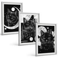 BILDER SET 3er Set - 40x60 cm Silberner Rahmen - Schwarze Katzen, Mond, Weltraum - Silberfarben, Kunststoff (40/60cm) - TULUP