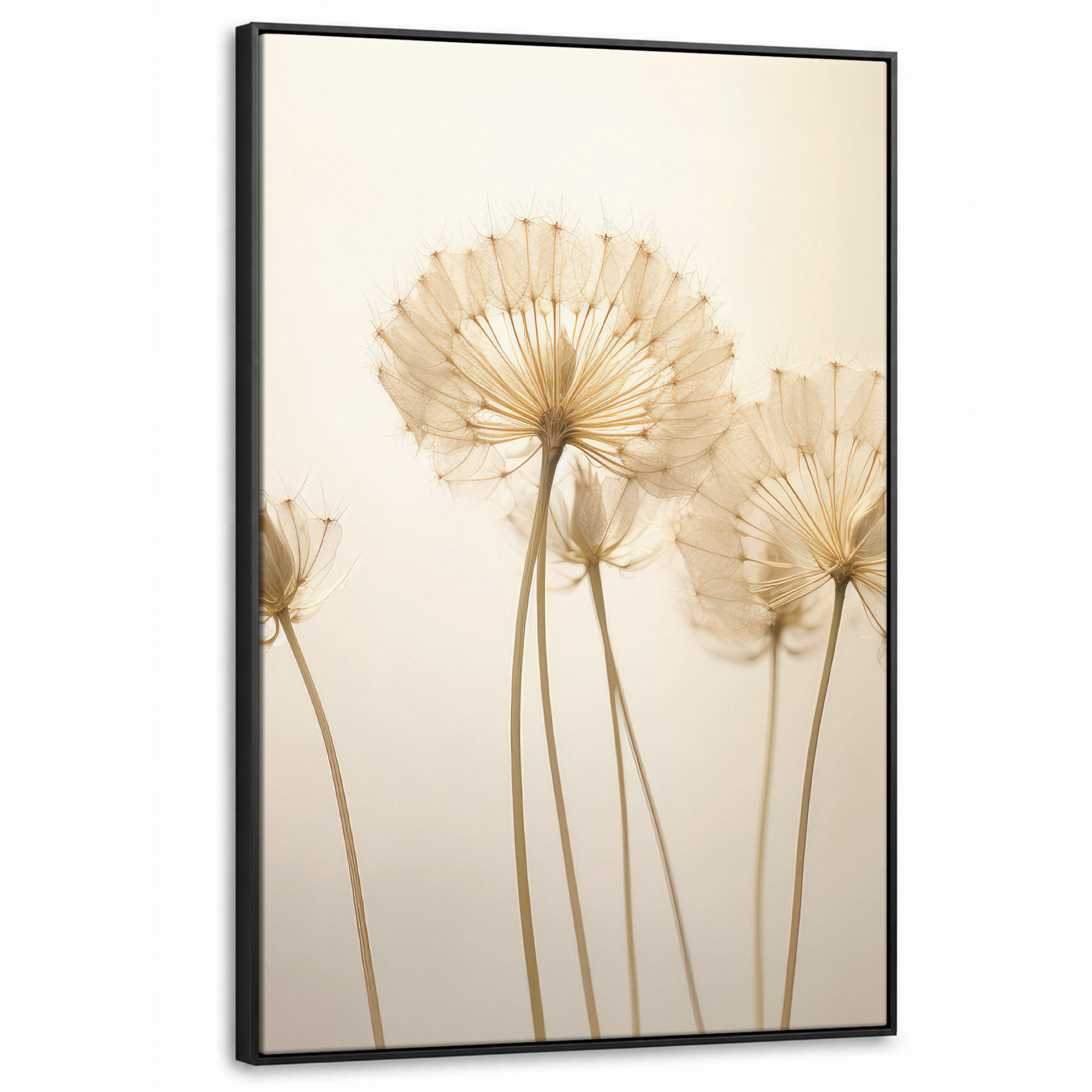 MuchoWow Leinwand Creme 80x120 cm