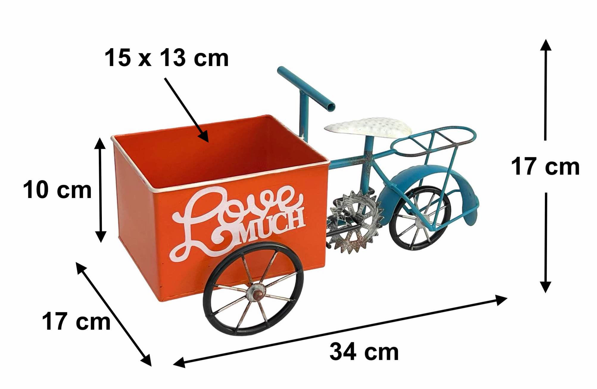 BLUMENFAHRRAD für Garten Metall Stehend Blau Orange - Blau, Metall (46/24.5/21cm) - DanDiBo