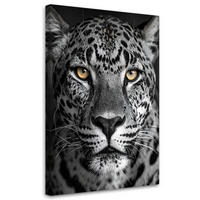 BILD auf Leinwand, Jaguar Tiere Natur schwarz-weiß - Schwarz, Textil (40/60cm) - Feeby