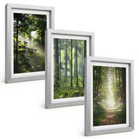 BILDER SET 3er Set - 20x30 cm Silberner Rahmen - Grüne Wälder mit Lichtstrahlen - Silberfarben, Kunststoff (20/30cm) - TULUP