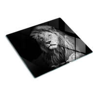 GLASPLATTE 60x52 cm Löwe - Anthrazit, Glas (60/52cm) - TULUP