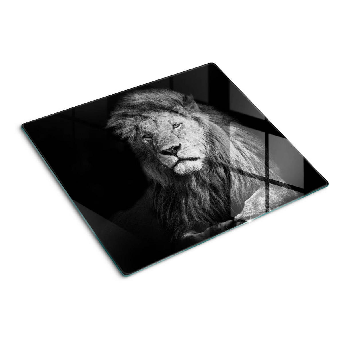 GLASPLATTE 60x52 cm Löwe - Anthrazit, Glas (60/52cm) - TULUP