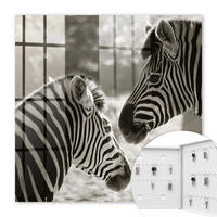 SCHLÜSSELBOX Weiß 30x30 cm – Türöffnung nach rechts - Zebras zusammen - Multicolor, Metall (30/30/5cm) - TULUP