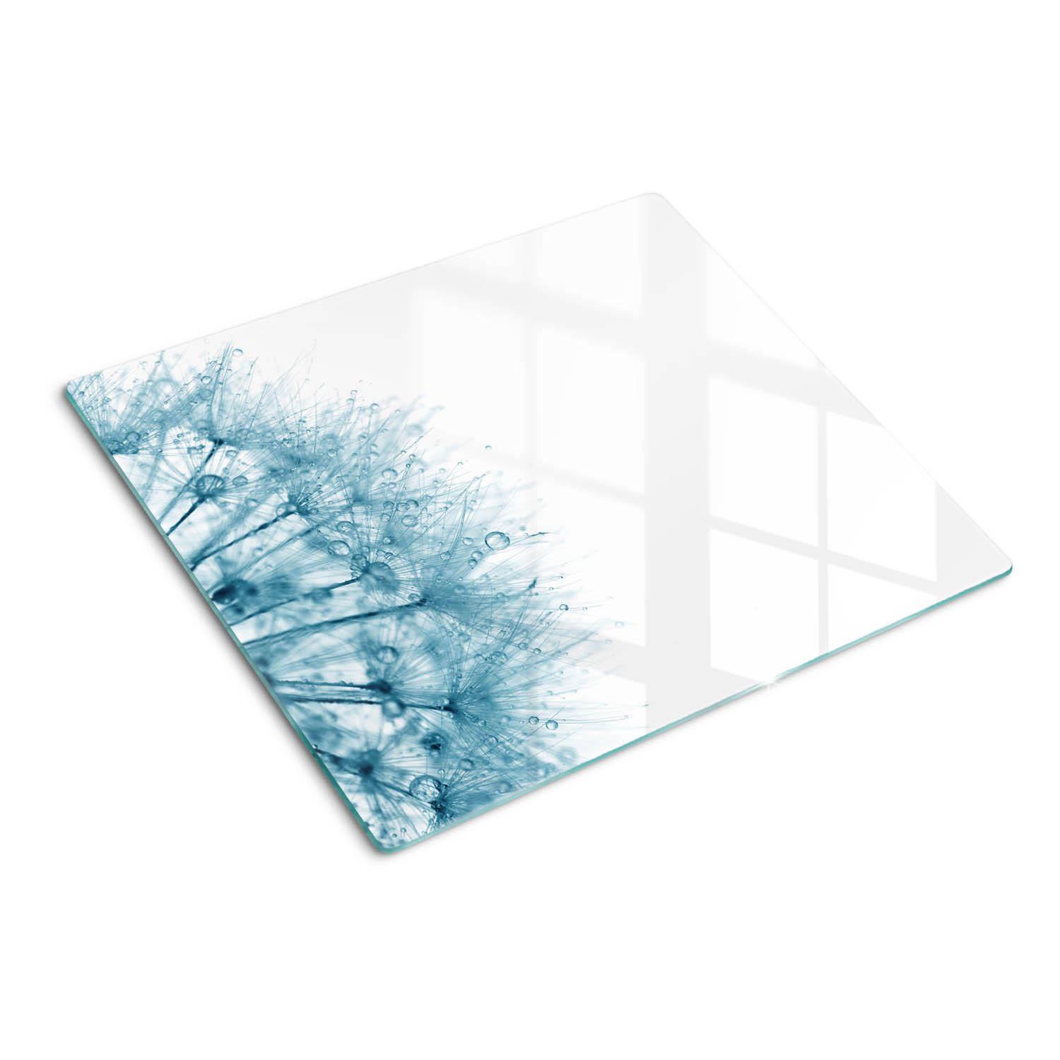 GLASPLATTE 60x52 cm Löwenzahn - Grau, Glas (60/0.4/52cm) - TULUP