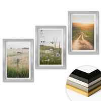 WANDBILDER 3er Set - 20x30 cm Silberner Rahmen - Landschaften Natur Felder Weg - Silberfarben, Kunststoff (20/30cm) - ArtPrintCave