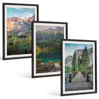 BILDER SET 3er Set - 40x60 cm Schwarzer Rahmen - Berglandschaft See Brücke - Schwarz, Kunststoff (40/60cm) - TULUP
