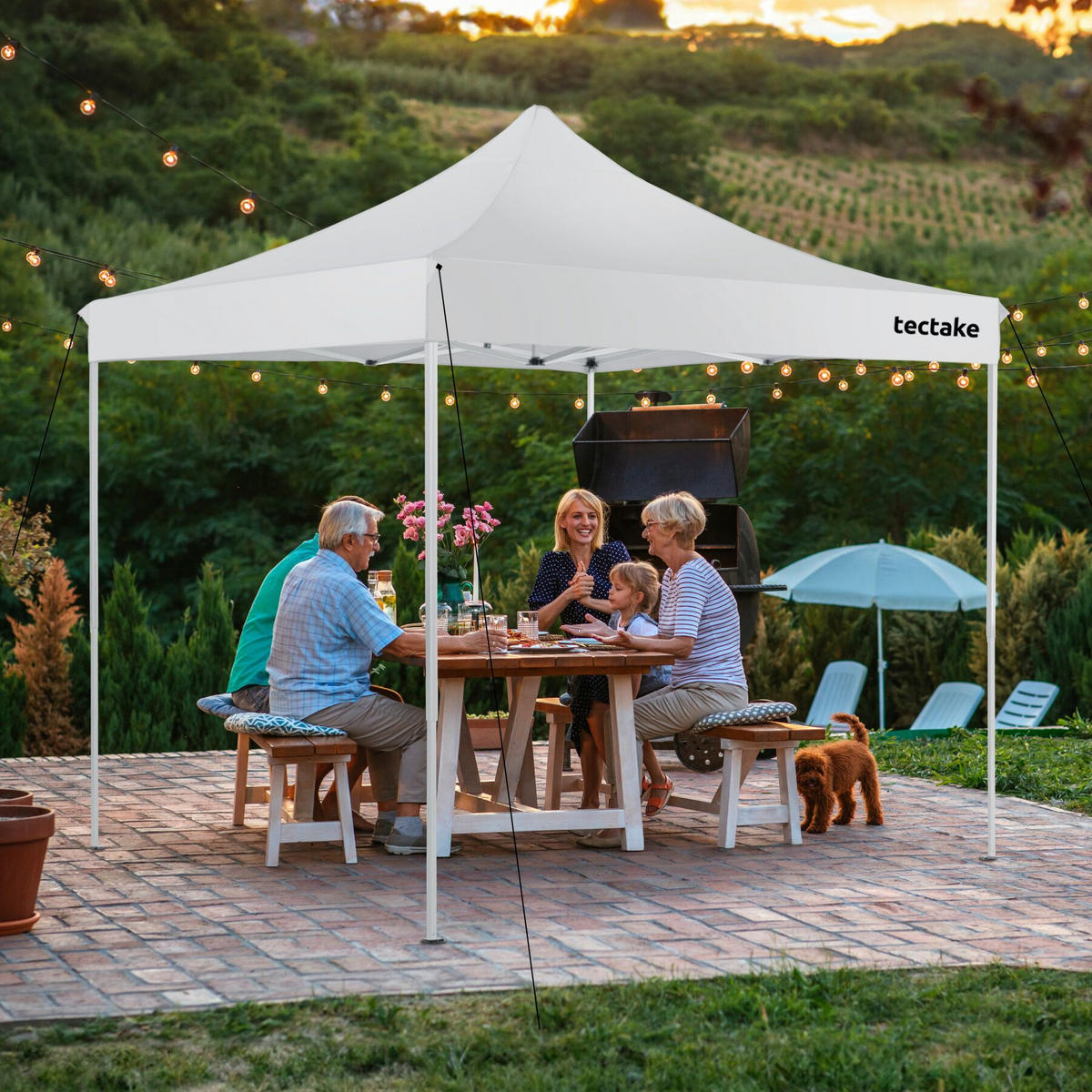 PAVILLON Olivia,inklusive Spannseilen, Heringen und Tragetasche,weiß - Weiß, Kunststoff (300/280/300cm) - tectake