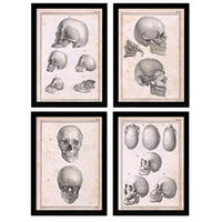 POSTER Set mit 4 Anatomie von Köpfen und Totenköpfen A4 Schwarzer Rahmen - Schwarz, Papier (29.7/3cm) - Nacnic