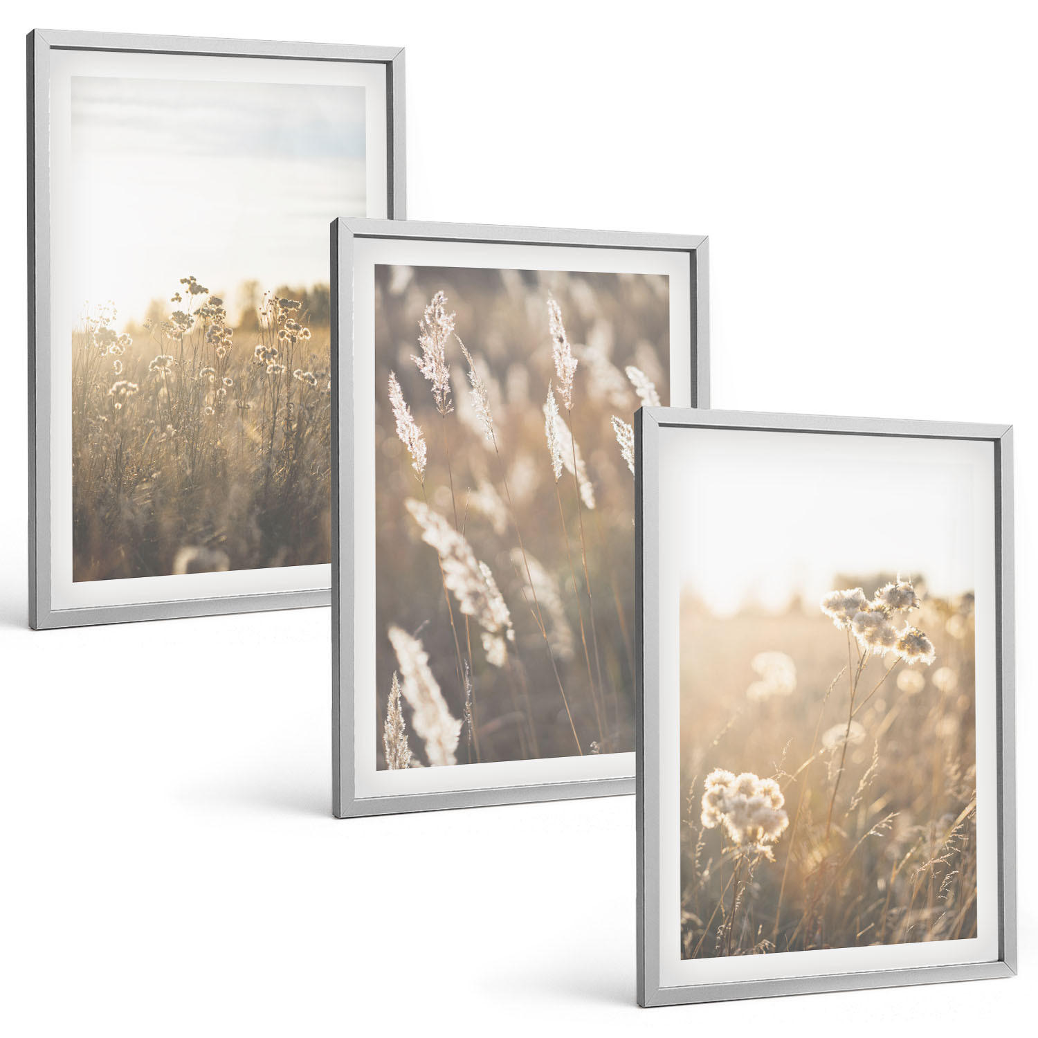 BILDER SET 3er Set - 40x60 cm Silberner Rahmen - Landschaftsgrasblumen Wärme - Silberfarben, Kunststoff (40/60cm) - TULUP