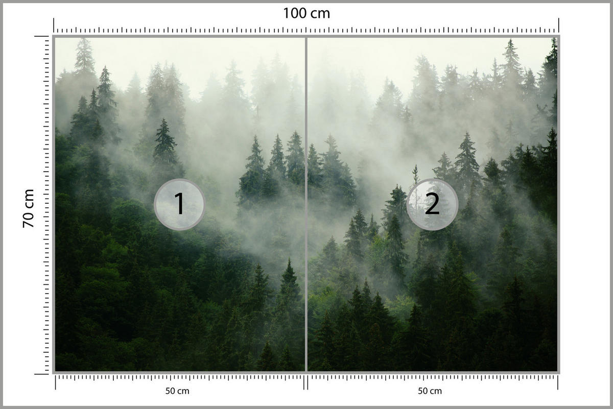 FOTOTAPETE Wald im Nebel Natur Landschaft 3D 100x70 - Grau/Grün, Papier (100/70cm) - Muralo