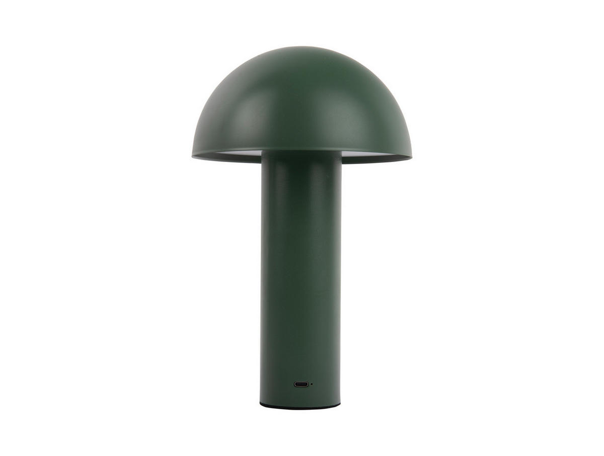 TISCHLAMPE Fuego 15/5/24 cm - Grün, Metall (15/5/24cm) - Leitmotiv