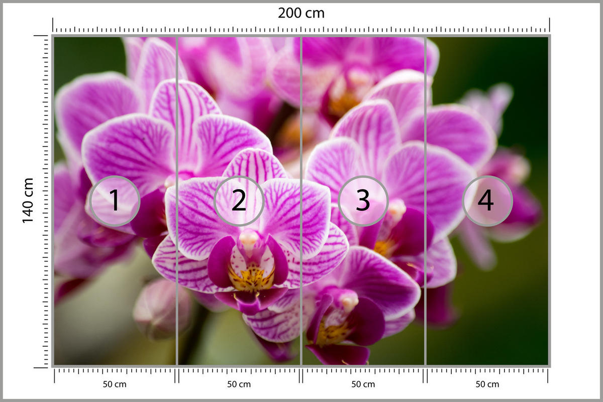 FOTOTAPETE für Wohnzimmer Violetter Orchideenstrauß Blumen 200x140 - Violett/Rosa, Papier (200/140cm) - Muralo