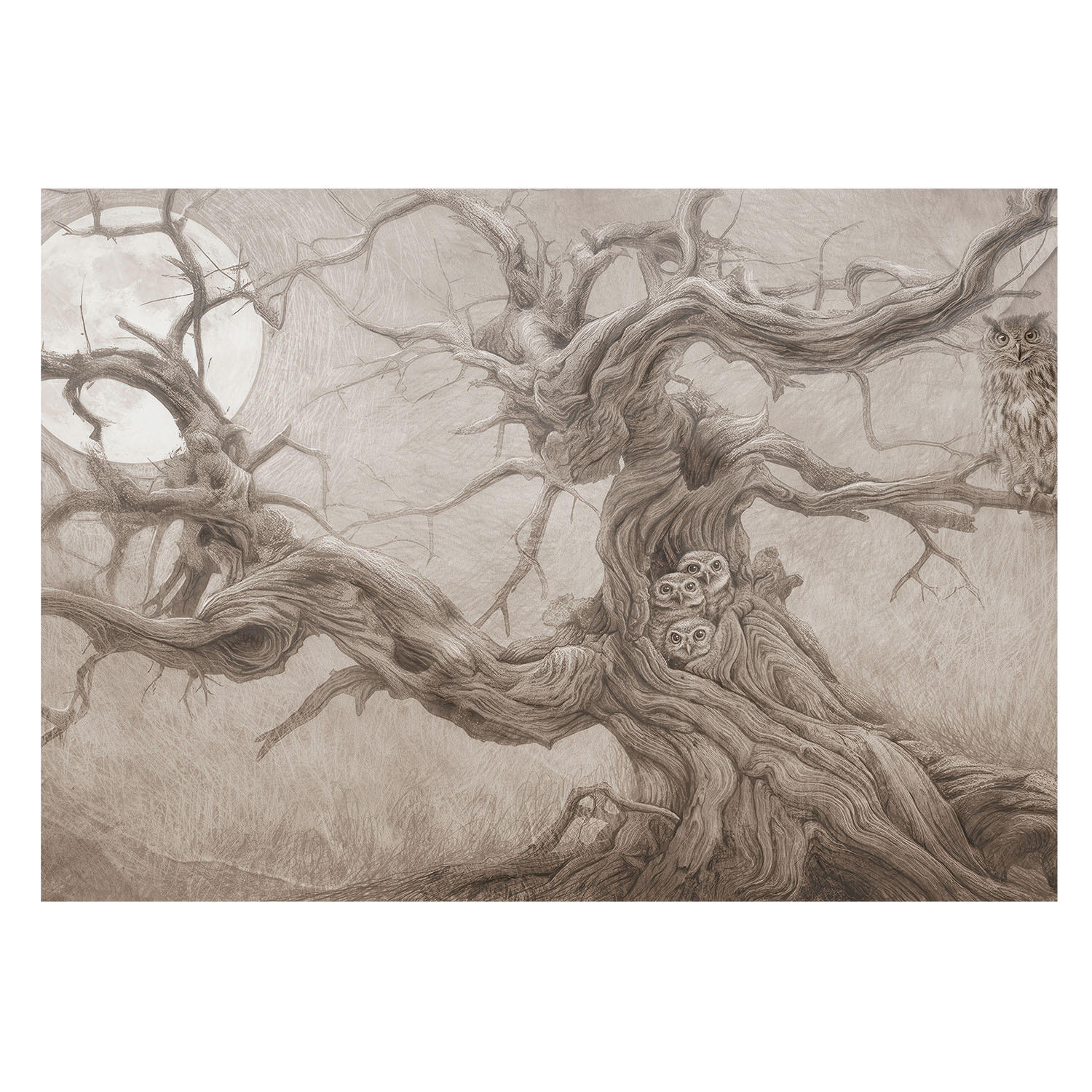 FOTOTAPETE 208x146 cm - Nachtvögel - Beige, Textil (208/146cm) - Wallfluent