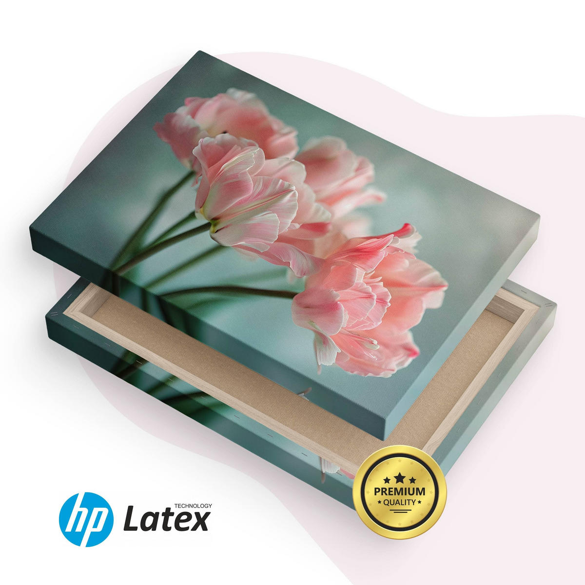 LEINWANDBILD für Wohnzimmer Blumen Tulpen Pflanzen Natur 30cm x 20cm - Blau/Rosa, Textil (30/20cm) - Muralo