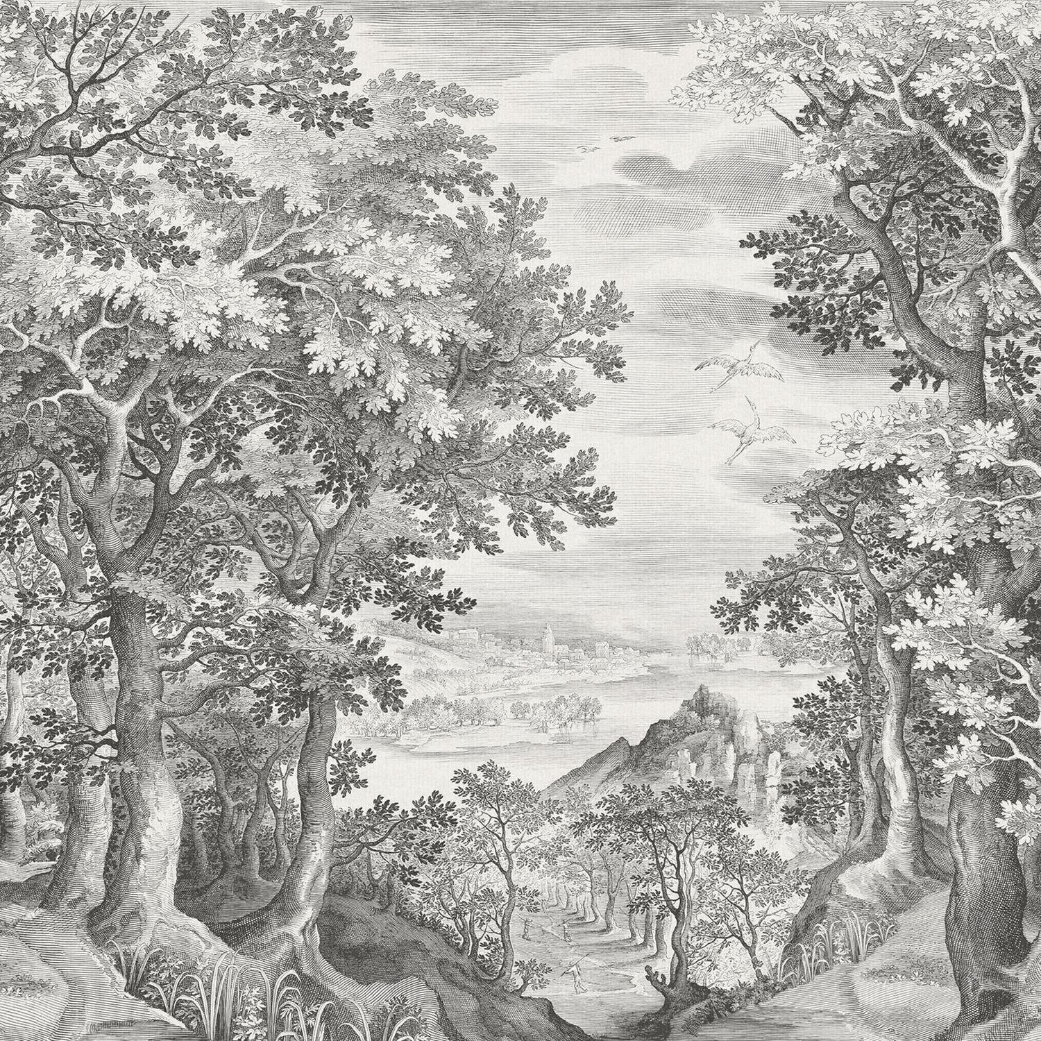 FOTOTAPETE Wald 371 x 280 cm - Grau, Papier (371/280cm) - Sanders & Sanders