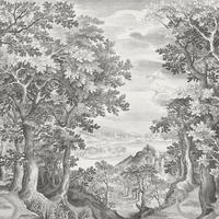 FOTOTAPETE Wald 371 x 280 cm - Grau, Papier (371/280cm) - Sanders & Sanders