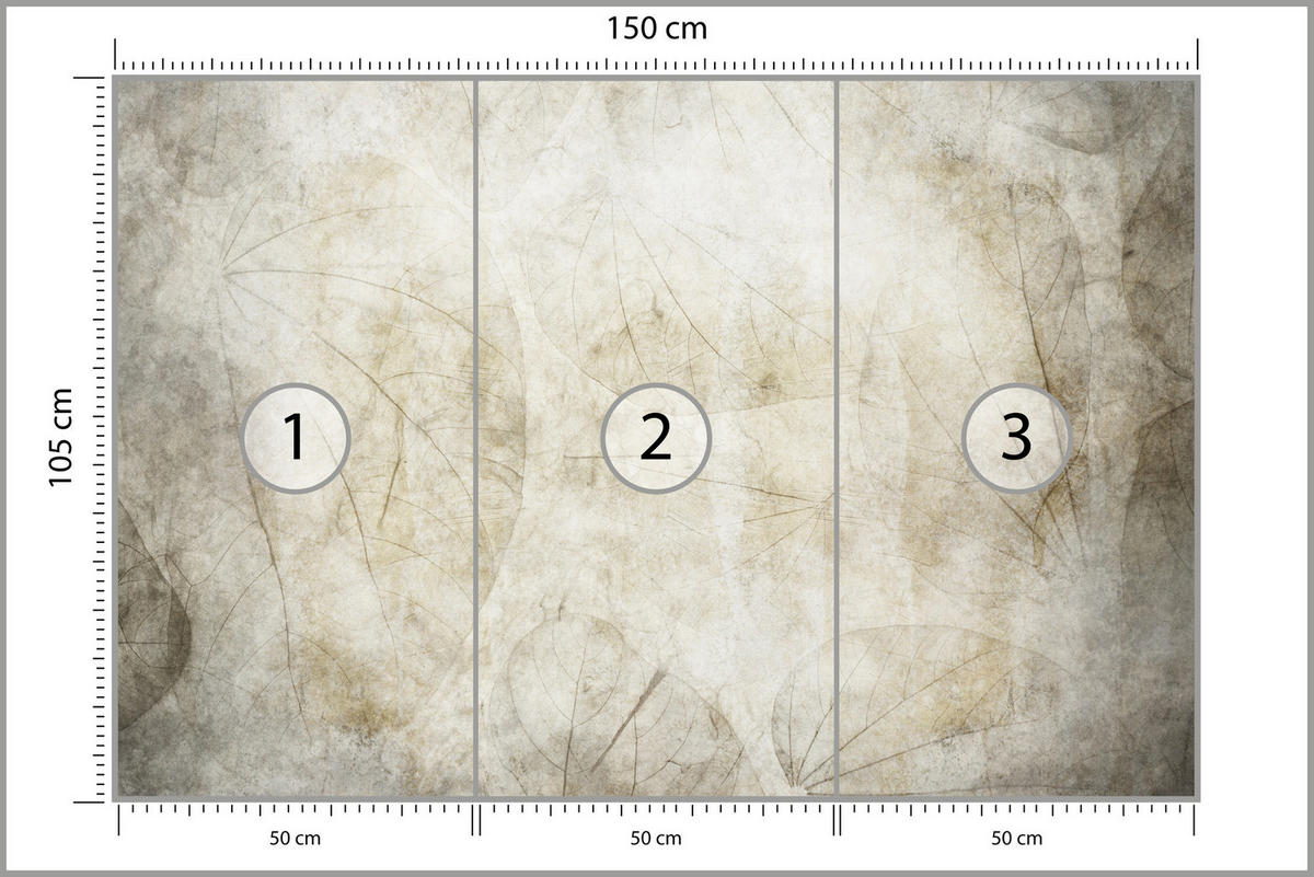 FOTOTAPETE für Wohnzimmer Blätter Beton Abstraktion 150x105 - Beige/Grau, Papier (150/105cm) - Muralo